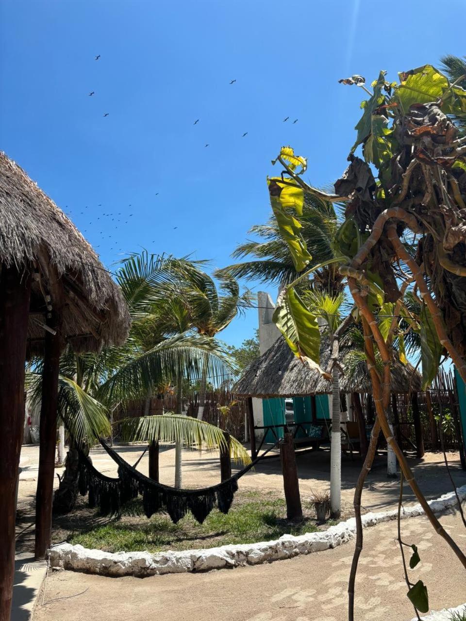 Mayan Mittoz Isla Holbox Buitenkant foto